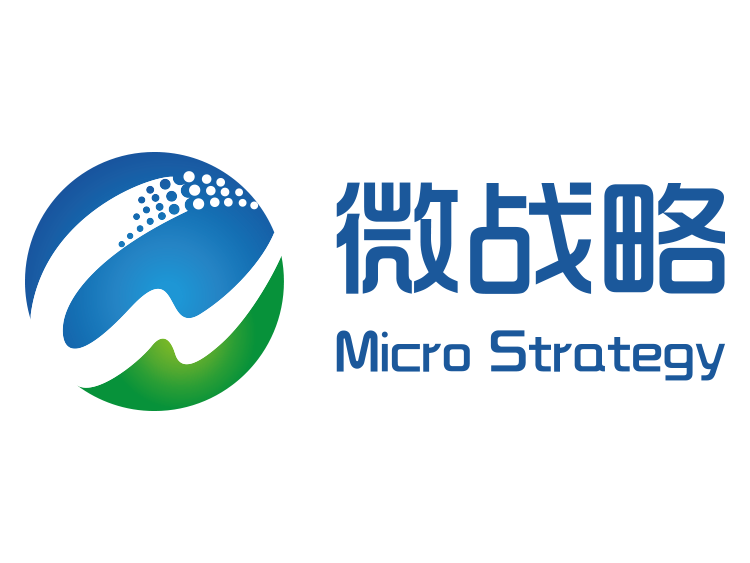 南京微战略信息科技有限公司