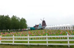 瑞源控股组织开展“绿色健康行”春季户外拓展